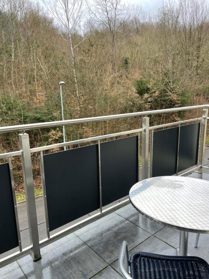 Ferienwohnung Mit Waldblick Leimen  Dış mekan fotoğraf